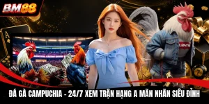 Đá Gà Campuchia | 24/7 Xem Trận Hạng A Mãn Nhãn Siêu Đỉnh